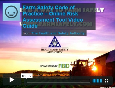 Online risk assessment tool video